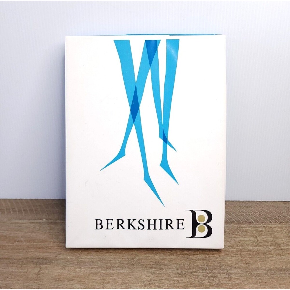 NIB Vintage Berkshire Stockings 3 Pr Lace Micro‎ Mesh Brownstone 10 M